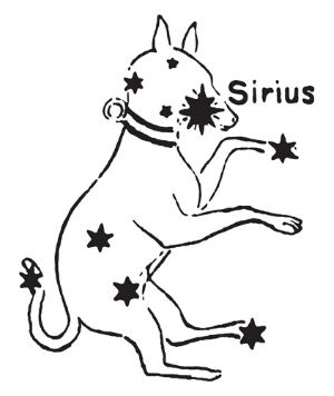 Can you be a Starseed from Sirius?