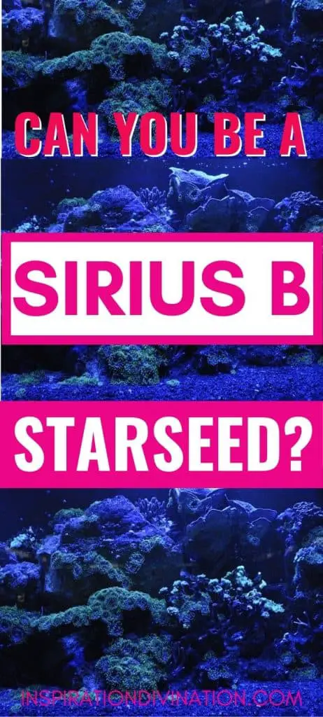 Can you be a Sirius B Starseed?