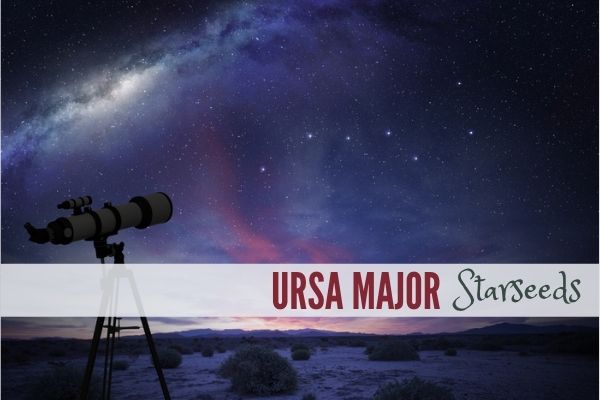 Ursa Major (the Great Bear) Starseeds
